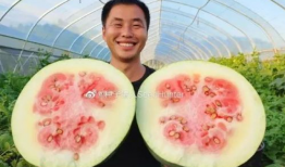 小冬瓜直播间娱乐圈吃瓜,小冬瓜直播间揭秘幕后真相